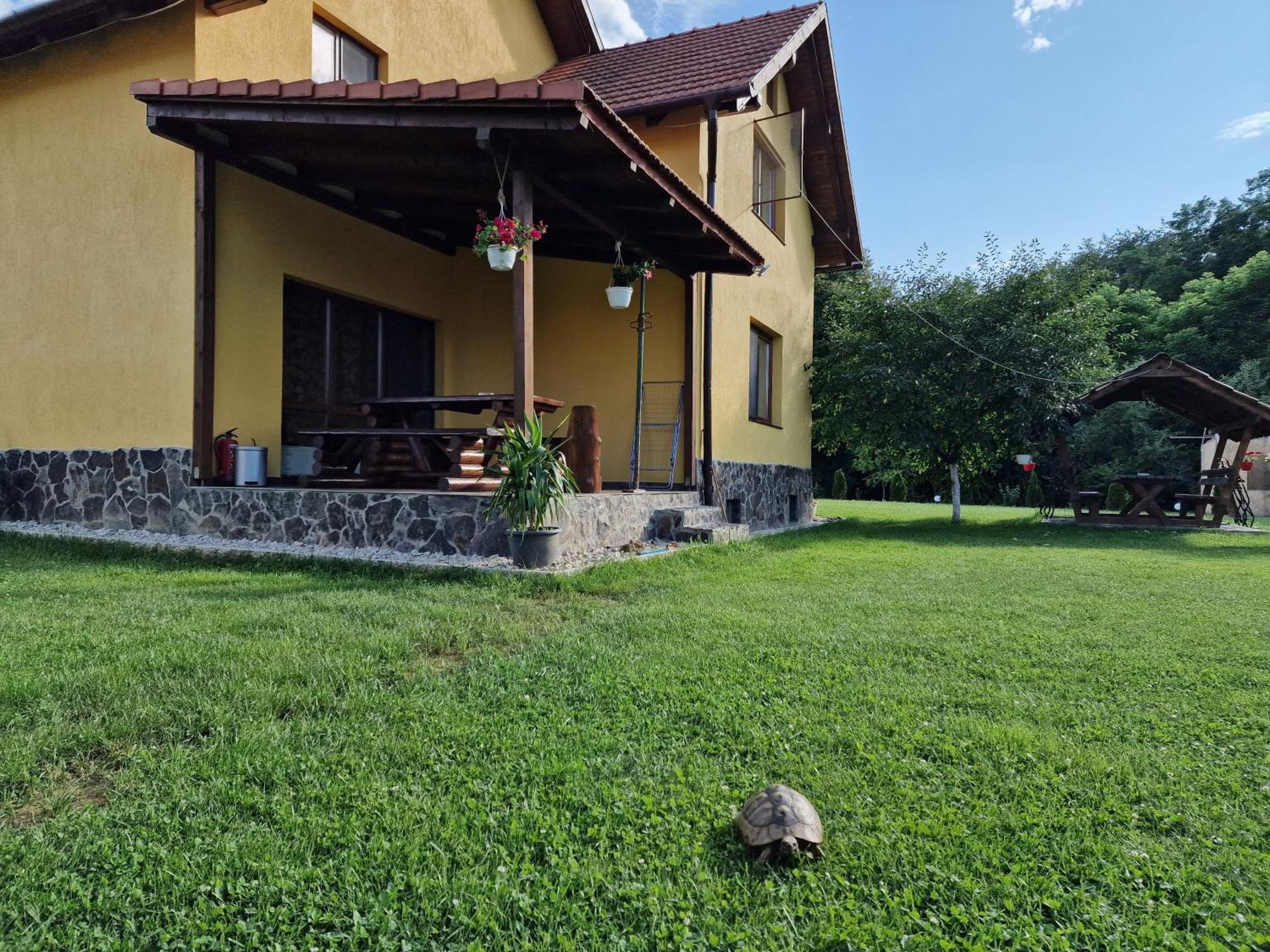 Casa Maya Villa Săsciori Buitenkant foto